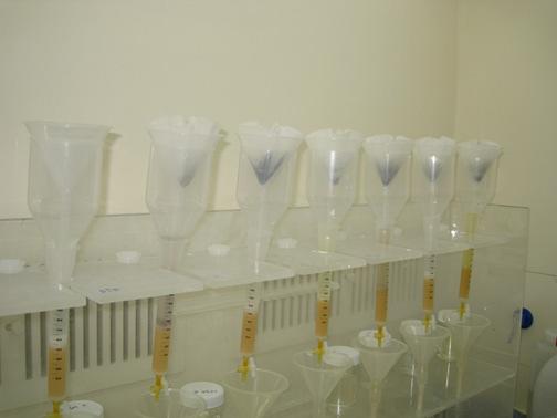 8M 질산용액을 filter paper를 통해 column에 통과시키는 모습