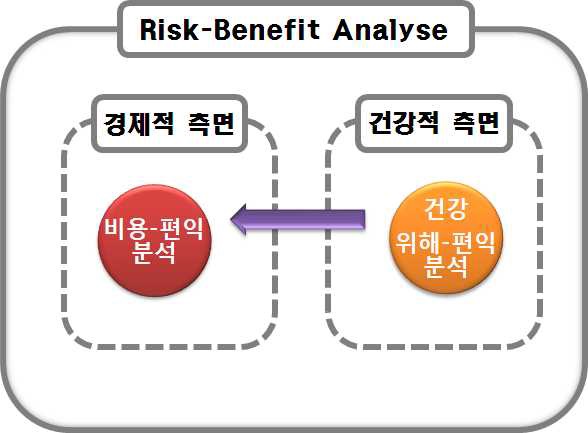 Risk-Benefit Analyse 모형