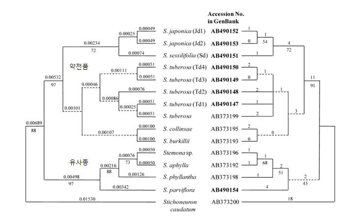 백부속(Stemona) 식물의 psbA-trnH 유전자 영역의 염기서열을 비교 분석한 결과