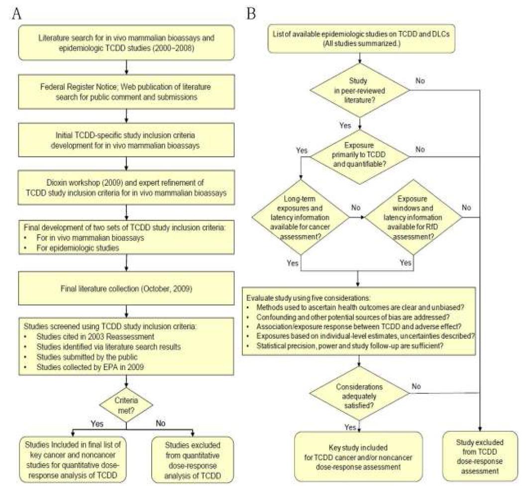 A, TCDD 용량-반응 평가을 위한 동물실험 및 역학 연구의 선택 과정. B, TCDD 용량-반응 평가에 있어 역학연구 평가를 위한 선택 기준과 고려사항을 포함하는 선택과정.