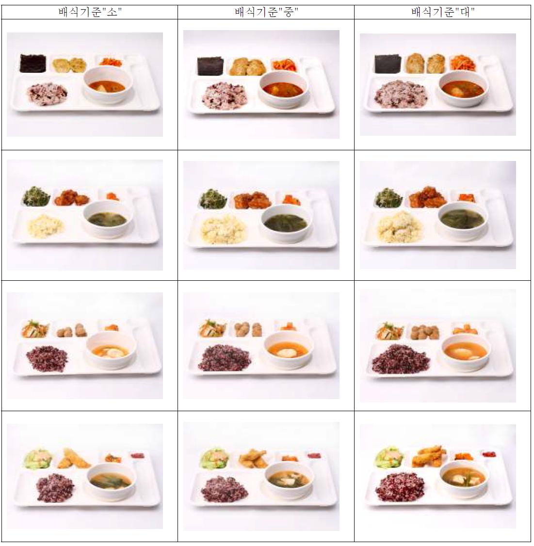배식기준별 배식량 사진(Selected examples of serving portion by serving size)
