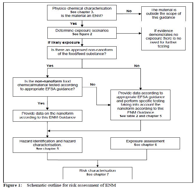 그림 18. 나노기술 응용식품 안전성 평가 체계 (유럽연합)