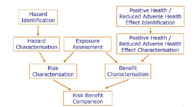 그림 19. 식품의 위해-편익 분석 개념도 (유럽식품안전청)