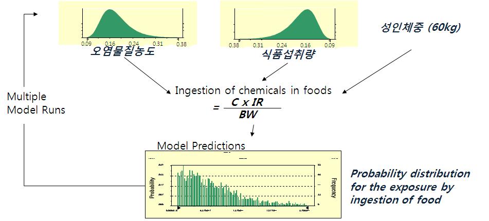 Probabilistic exposure by Monte-Carlo simulation