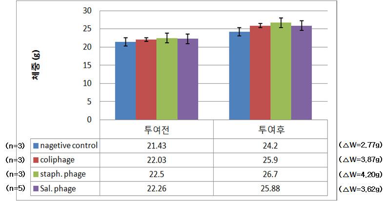 대조군과 파지 섭취군의 테리오파지 급여 전과 급여 1주 후의 증체량 비교