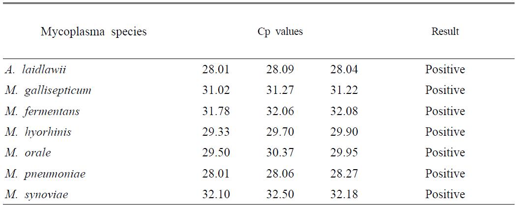 Robustness of real-time PCR assay (Detection of mycoplasma from Human keratinocyte spiked with 3 times amount of LOD of each mycoplasma).