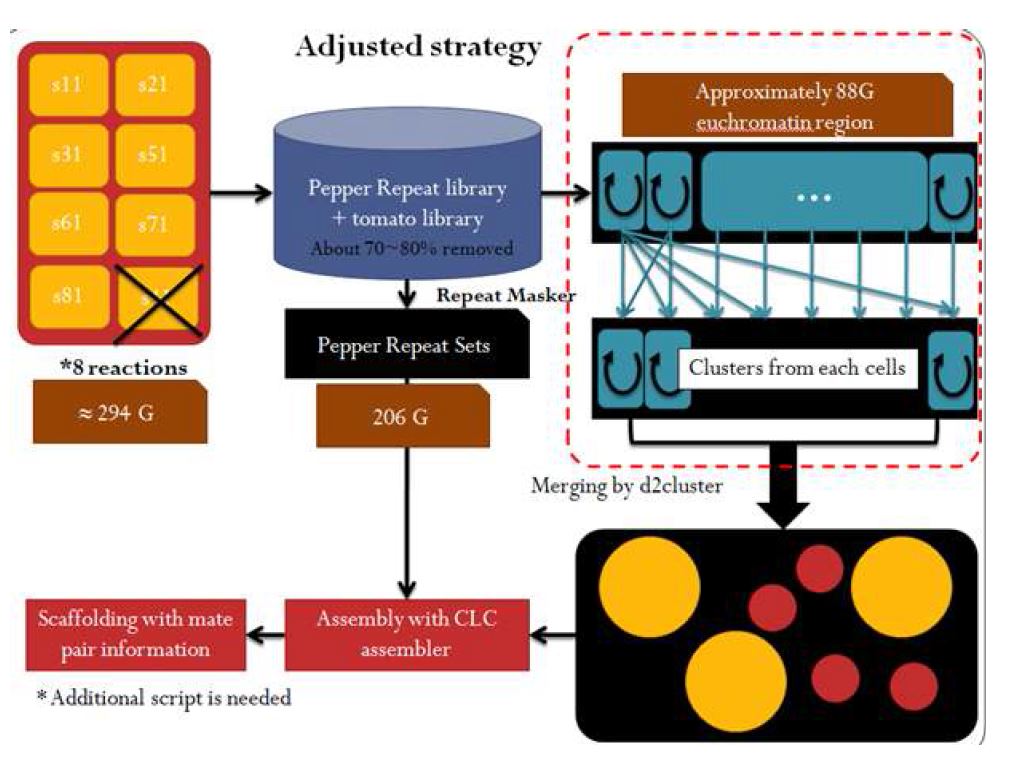 Adjusted FCLA strategy