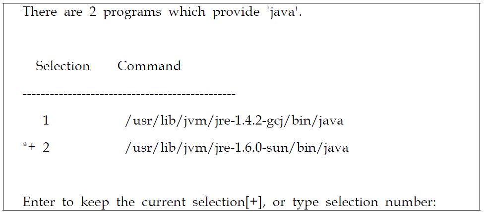 default JAVA 선택