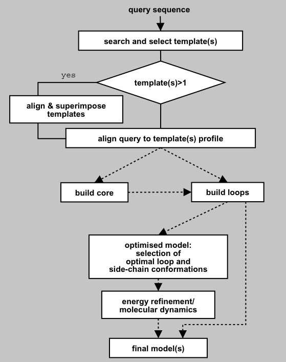 General process for protein structure prediction