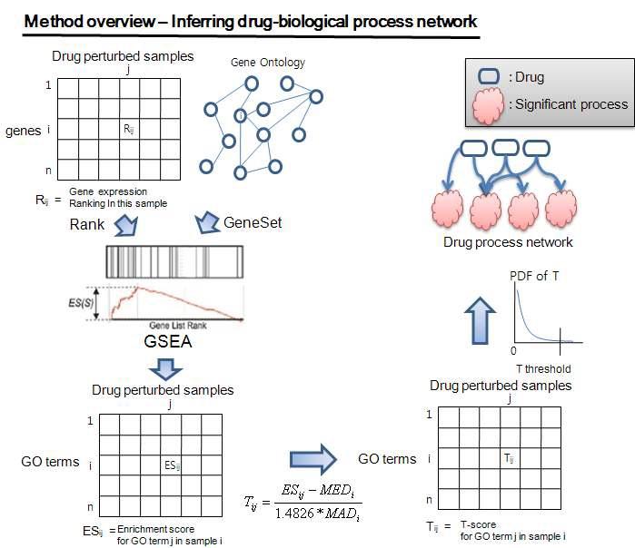 Schematic diagram for inferring relationships between biological process and drugs