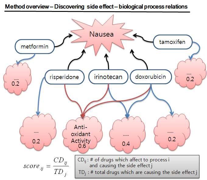 schematic diagram for discovering side effect-biological process relationships