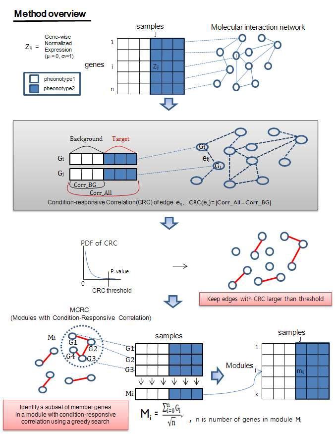 Schematic diagram for CRC molecular modules with condition-responsve correlation