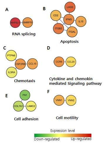 Modules with CRC associated with breast cancer metastasis