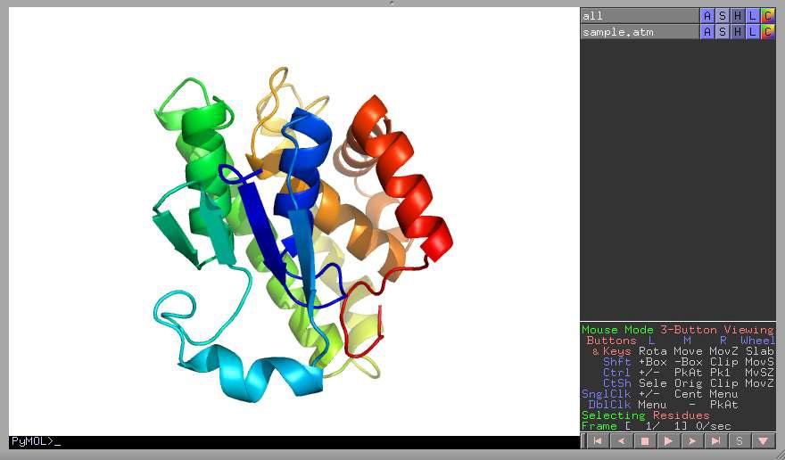 PyMOL을 사용해서 단백질 구조 모델링 결과를 렌더링한 화면