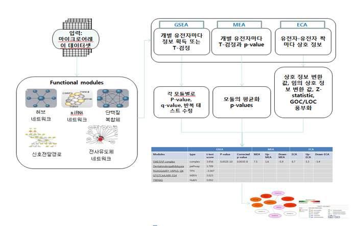 Abstract work flow of analysis of functional modularity network through dynamic analysis