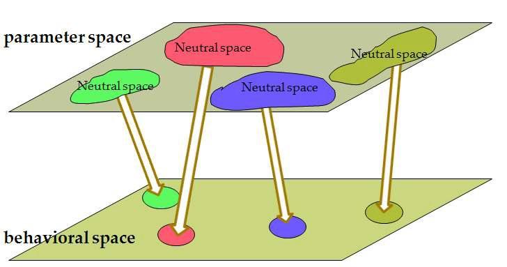 The mapping from parameter space onto behavior space