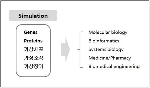 가상세포 시뮬레이션 활용 분야