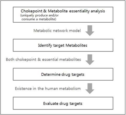 가상세포 모델 시뮬레이션을 통한 drug targets 평가