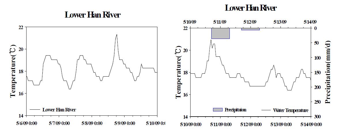 The diel variation of water temperature by meteorological data in Lower Han River. (Right) the diel variation of a rainy day, (Left) he diel variation of a non-rainy day