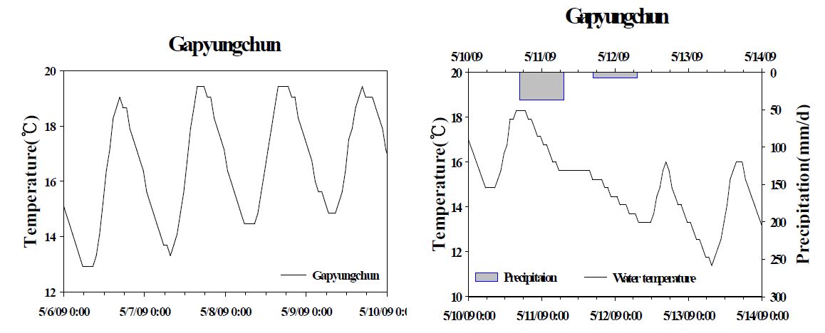 The diel variation of water temperature by meteorological data(precipitation) in Gupyung stream. (Right) the diel variation of a rainy day, (Left) he diel variation of a non-rainy day