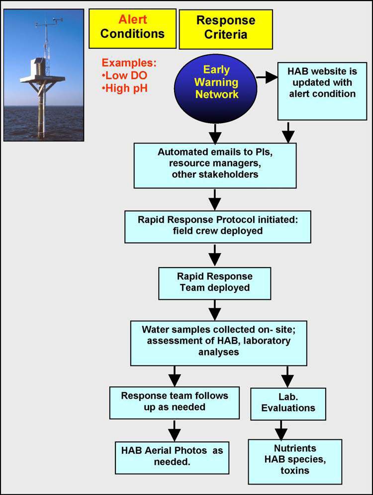 Flow chart of the warning system for harmful algal bloom in RTRM