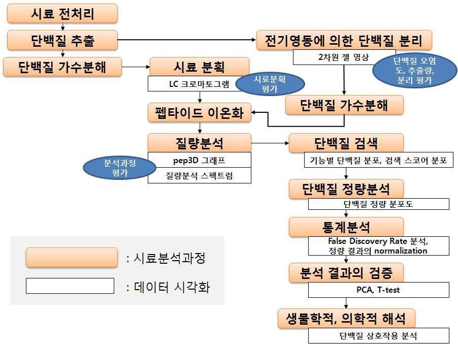 질량분석을 이용한 단백질체 분석 워크플로우 및 데이터 시각화