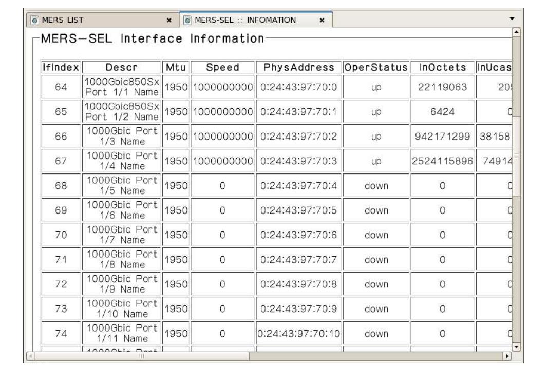 MERS INTERFACE INFORMATION (1)