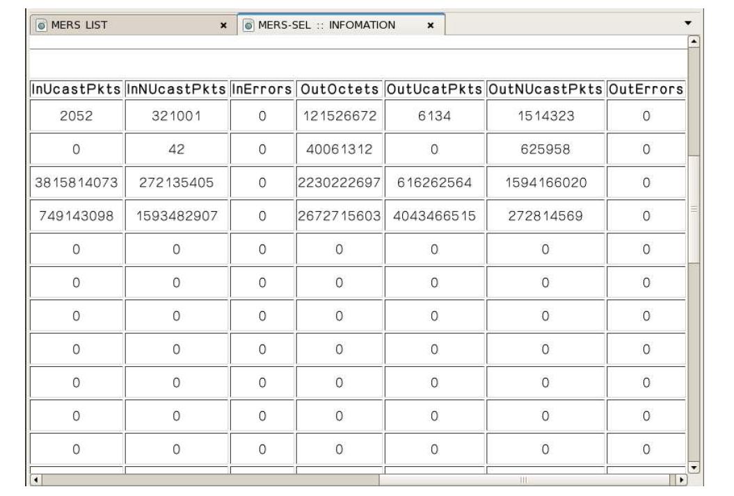 MERS INTERFACE INFORMATION (2)