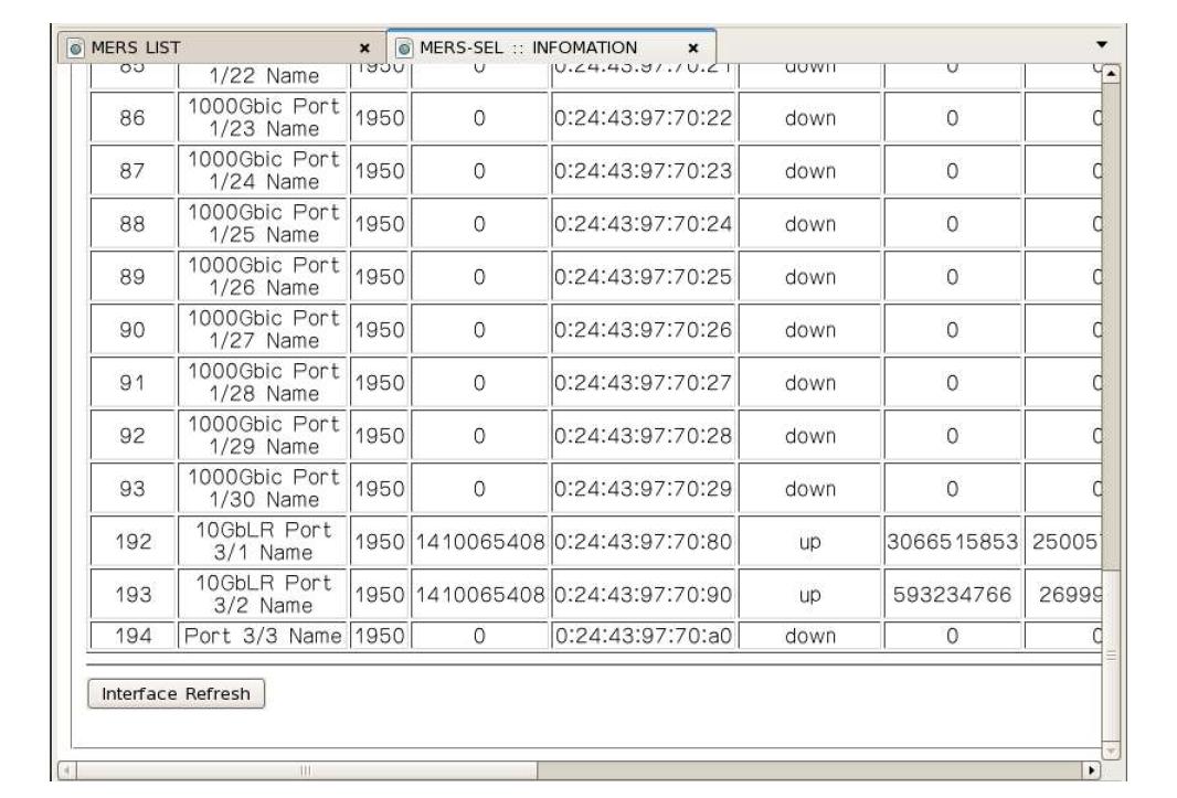 MERS INTERFACE INFORMATION (3)