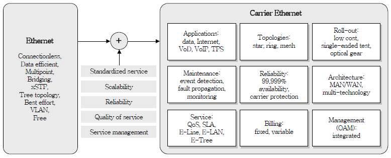 Carrier Ethernet Character