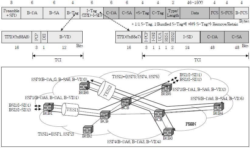 MAC-in-MAC Frame Type and BSI/ESP/TESI Definition