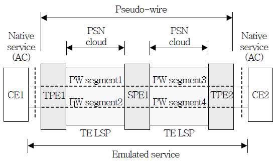 MPLS-TP Structure