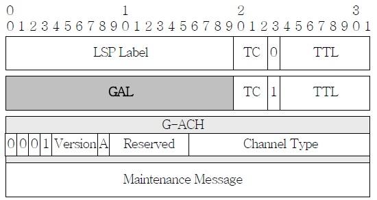 MPLS-TP LSP OAM Frame Form