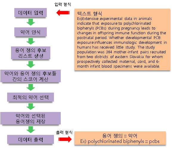 약어인식 시스템의 개요