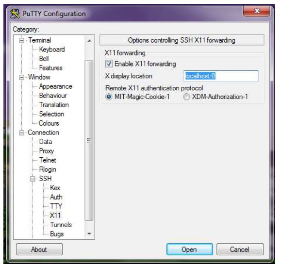 X11 forwarding