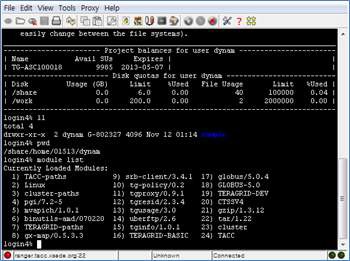 Execute Desktop Application Terminal