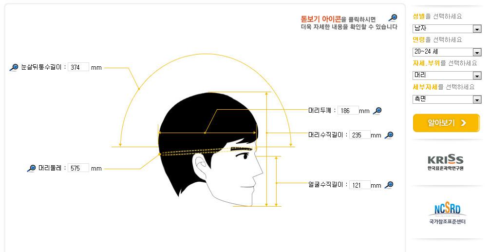 Web 기반(일반이용자용) 머리 측면 선택항목