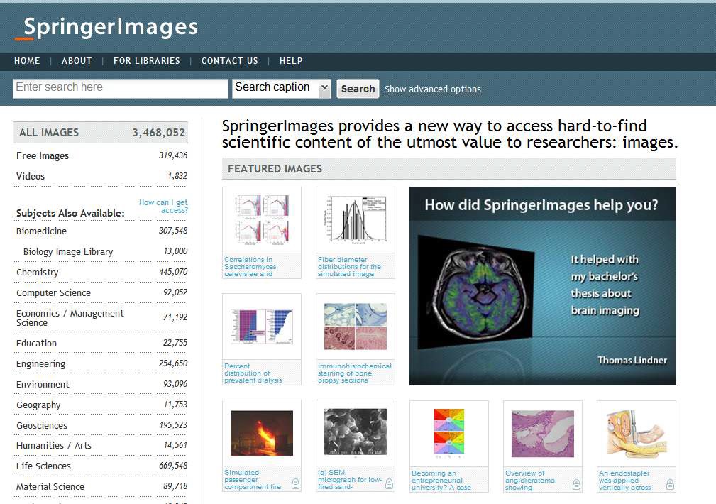 Screen for Image Search from SpringImages