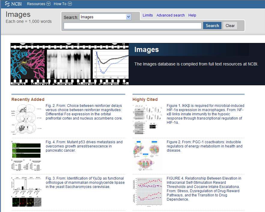 Screen for Image Search from PubMed