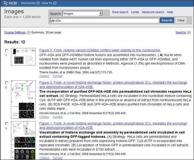 Concise Bibliographic Information on Image from PubMed
