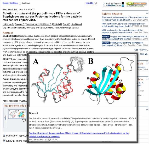 Image from PubMed Using Mouse over Function
