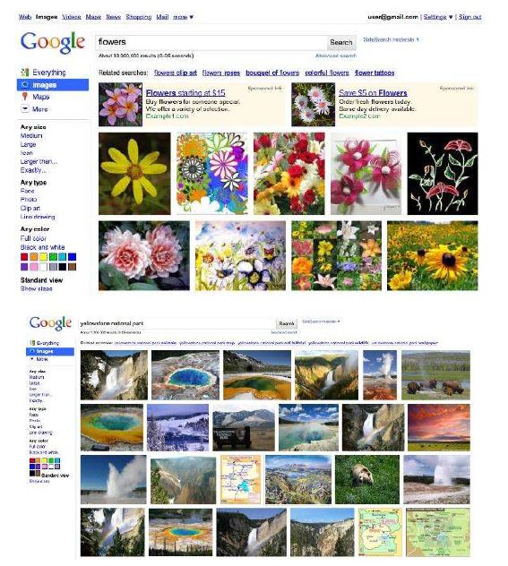 Examples of Google Image Search