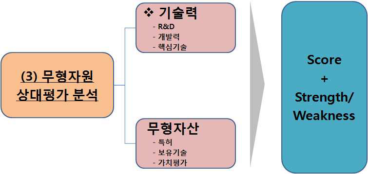 무형자원 상대평가 분석