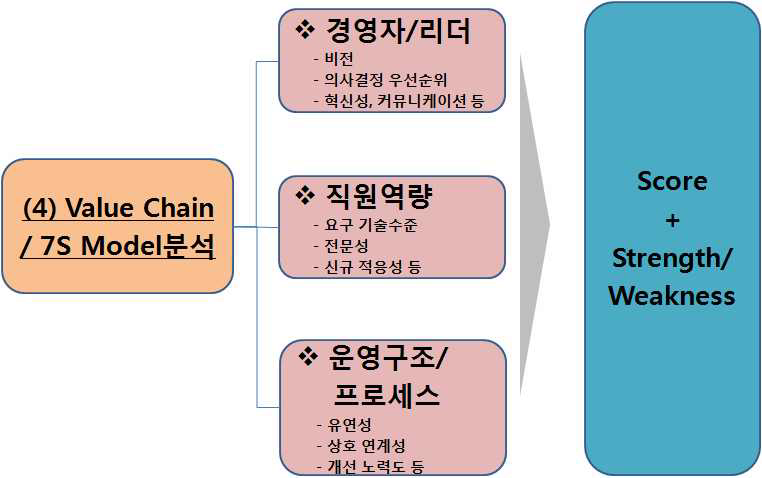 조직역량의 Value Chain/7S Model 분석