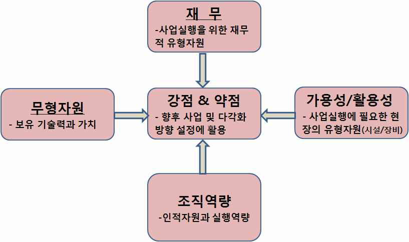 자원기반 내부역량분석 방법 구조