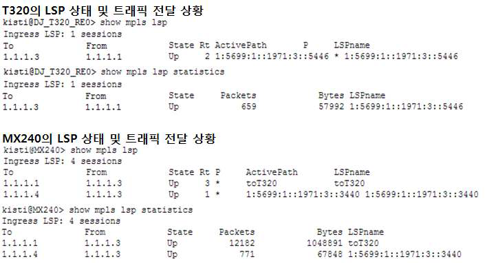 LSP Statistics in T320 and MX240