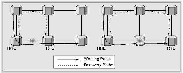 Local Recovery for Single Link and Single Node