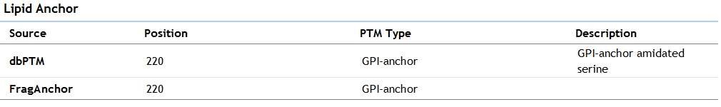 막단백질 서열 특성 섹션 중 Lipid-anchor 정보