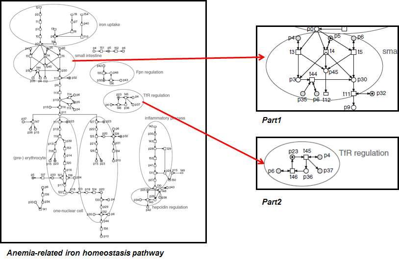 Petri-net 모델