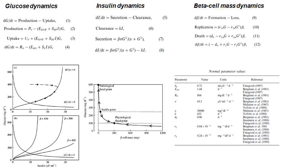 당뇨병과 관련된 ODE 모델